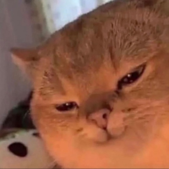 Meet your Posher, Alma - Picture 2 of 2